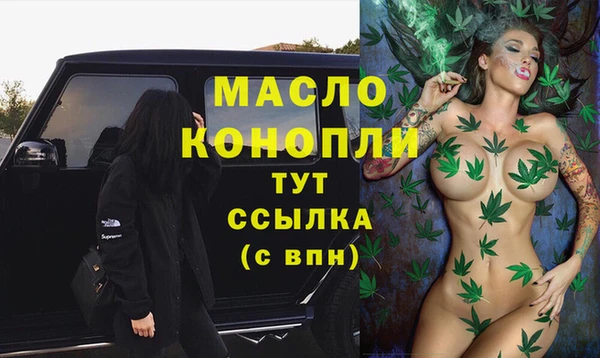 индика Касимов