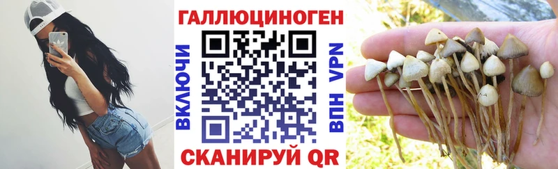 Галлюциногенные грибы Magic Shrooms  где купить   Котово 